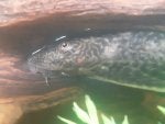 20200903_123151.jpg